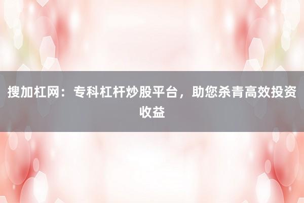 搜加杠网：专科杠杆炒股平台，助您杀青高效投资收益